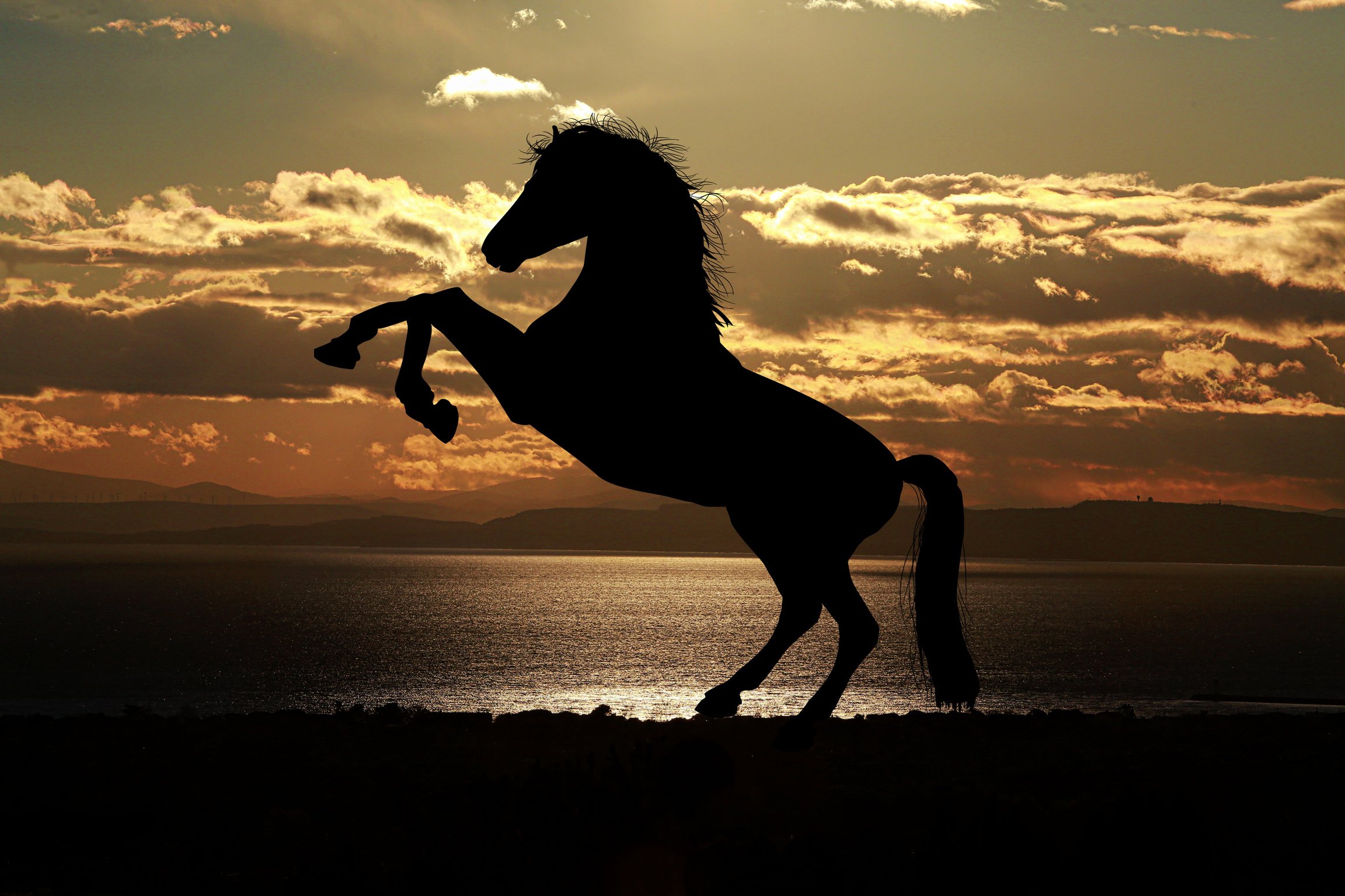 Prancing Horse Silhouette